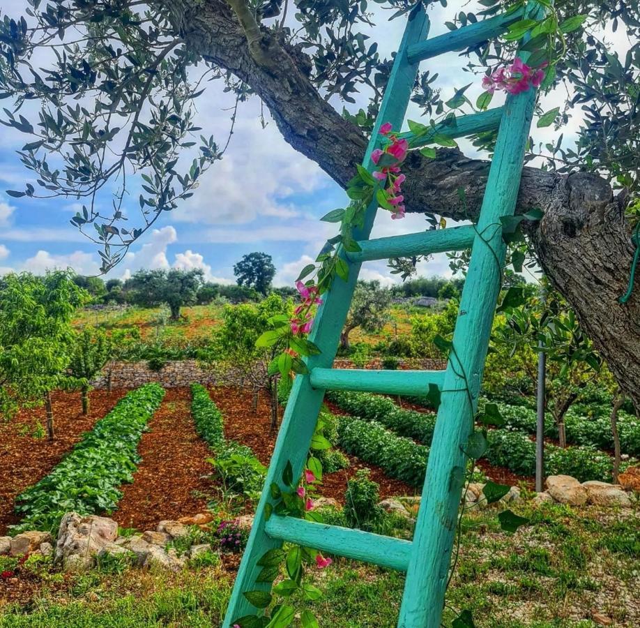 Trulli Pax Animi Villa Мартина Франка Екстериор снимка